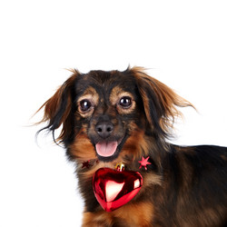 Similar image 2888822