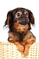 Similar image 2888824