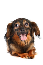 Similar image 2888825