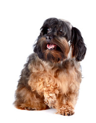 Similar image 2888828