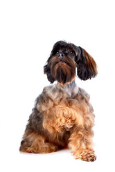 Similar image 2888829