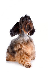 Similar image 2888836