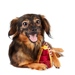 Similar image 2888840