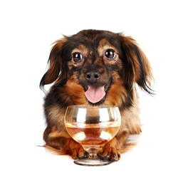 Similar image 2888841