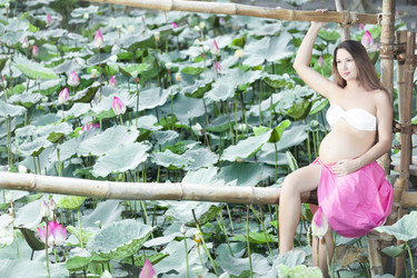 Similar image 2888857