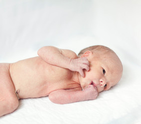 Similar image 2888861