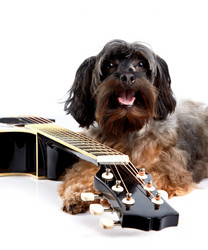 Similar image 2888867