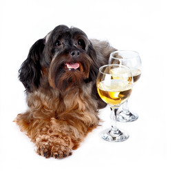 Similar image 2888888