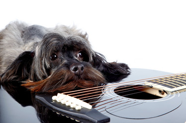 Similar image 2888891