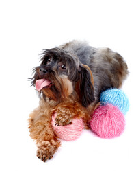 Similar image 2888904