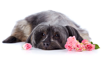 Similar image 2888907