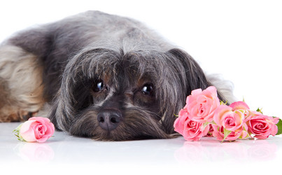 Similar image 2888908