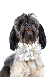 Similar image 2888911