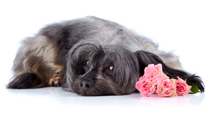 Similar image 2888915