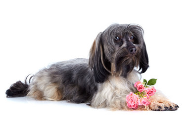 Similar image 2888916