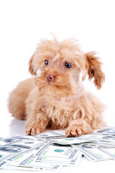 Similar image 2888917