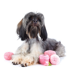 Similar image 2888919