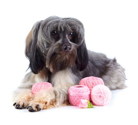 Similar image 2888920