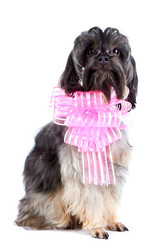 Similar image 2888925