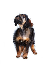 Similar image 2888933