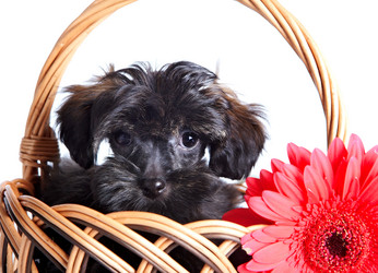 Similar image 2888935