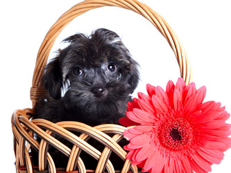 Similar image 2888936