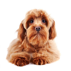 Similar image 2888940