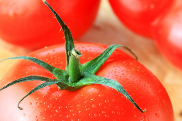 Similar image 2888979