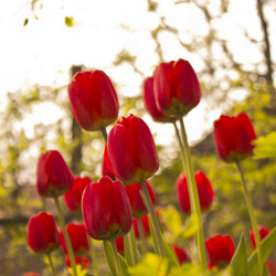 Similar image 2888988