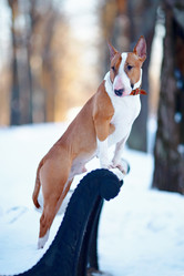 Similar image 2888998