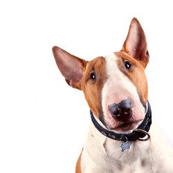 Similar image 2889006