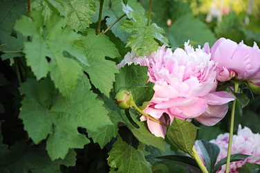 Similar image 2889177