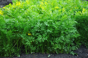 Similar image 2889179