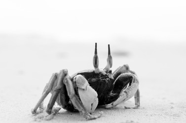 Similar image 2889255