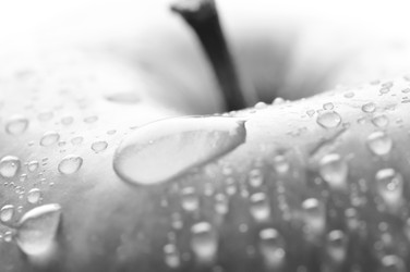 Similar image 2889264