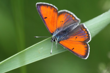 Similar image 2889300