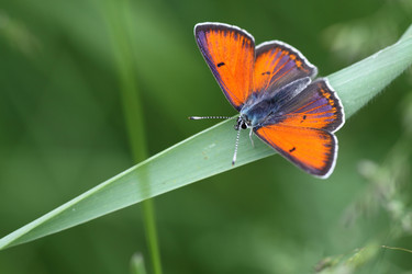 Similar image 2889301