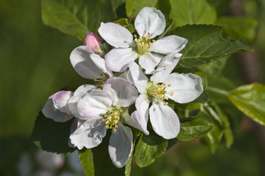 Similar image 2889308