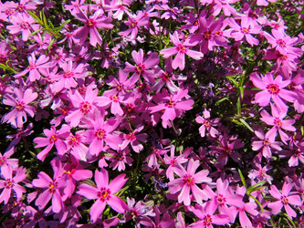 Similar image 2889309