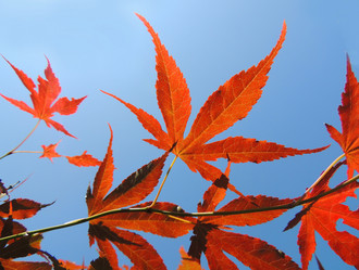 Similar image 2889310