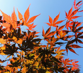 Similar image 2889312