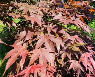 Similar image 2889313