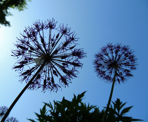 Similar image 2889316