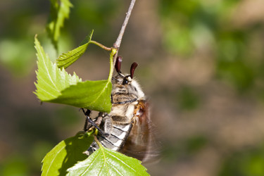 Similar image 2889318