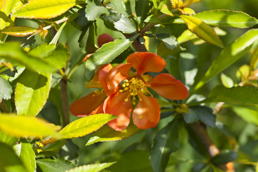 Similar image 2889320