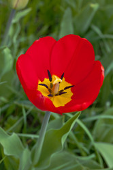 Similar image 2889322