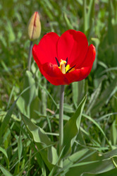 Similar image 2889323