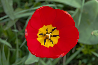 Similar image 2889324