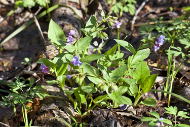 Similar image 2889328