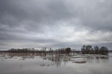 Similar image 2889334